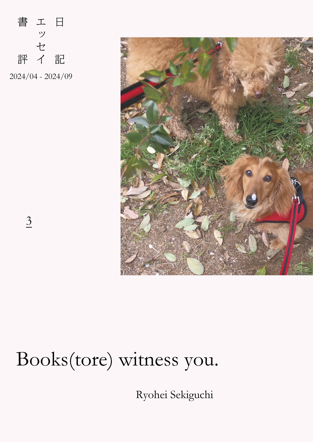 『Books(tore) witness you. vol.3』表1